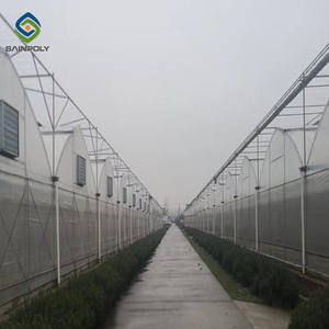 مباشرة من المصنع 1000 م 2 تصميم دفيئة إنجليزية ذكي مع بولي كلوريد الفينيل و! - Product Image 5