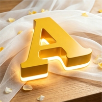 Enseigne personnalisée avec lettres rétroéclairées par LED, étanche IP65, options multicolores pour la publicité et la décoration intérieure/extérieure, utilisation en bar