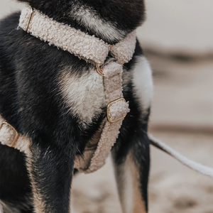 Arnés personalizado para perro Teddy Sherpa, dispensador de bolsas para caca, juego de Correa y Collar para perro resistente y cálido - Product Image 5