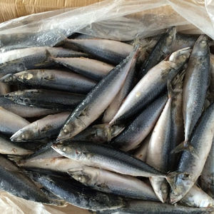 Frozen Mackerel Fish Frozen Fresh Seafood - Product Image 2