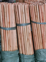 Manche de balai en bois léger et durable de style industriel moderne, avec tête de balai en plastique, pour nettoyage de sols écologique, vente en gros de Chine