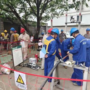 Poste de transformation monophasé/triphasé 110 kV pour l'alimentation électrique des centres de données en milieu domestique - Product Image 4