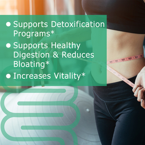 Complément alimentaire à prix avantageux pour la détoxification, l'augmentation de la vitalité et la perte de poids, avec extrait de thé vert, capsules brûle-graisses - Product Image 3
