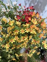 Heißer Verkauf: Direkt ab Werk Großhandel Künstliche Seidenblumen mit Langem Stiel zur Dekoration