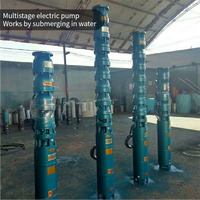 Pompe à eau submersible AC haute pression 25HP à grand débit pour l'alimentation en eau des puits peu profonds/profonds