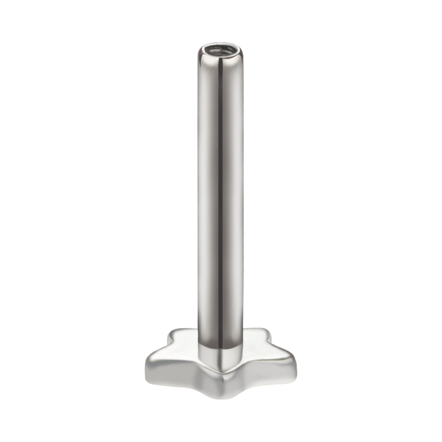 Giometal Implant Grade Titanium Threadless Push in Labret With Star Flat Back Plain Tool Body Piercing Jewelry Wholesale