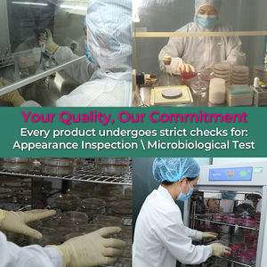 Cosméticos Coreanos para el Cuidado de la Piel, Péptidos, Ácido Hialurónico, Vitamina C, Suero Facial, Suero Aclarante con PDRN y ADN de Salmón de Fábrica - Product Image 6