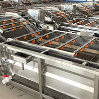 3M Bubble Groente- en Fruitreinigingsmachine voor groenteverwerkingsbedrijven, PLC-gestuurd, lage onderhoudskosten