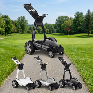 New Foldable Steel Platform Golf <b>Trolley</b> Three/Wheel Silver Ready to Ship OEM Support for <b>Tools</b> - Product Image 2