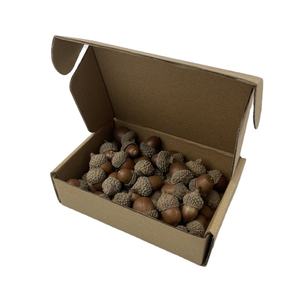 Decorações secas bolotas naturais - Product Image 3