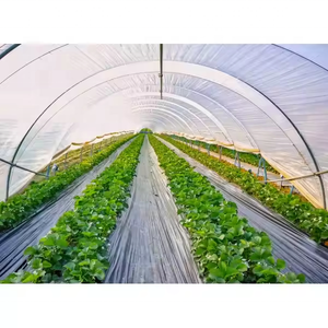 Nhà Máy Giá nông nghiệp <span class=keywords><strong>mulch</strong></span> phim-100 % Trinh Nữ LLDPE/LDPE tùy chỉnh chiều rộng/Độ dày cắt cho trang trại vườn số lượng lớn đơn đặt hàng được chấp nhận - Product Image 4