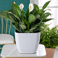 Pot succulent Pot de jardin carré hydroponique décor de jardin auto-arrosage en plastique plante Pot de fleur système d'arrosage automatique