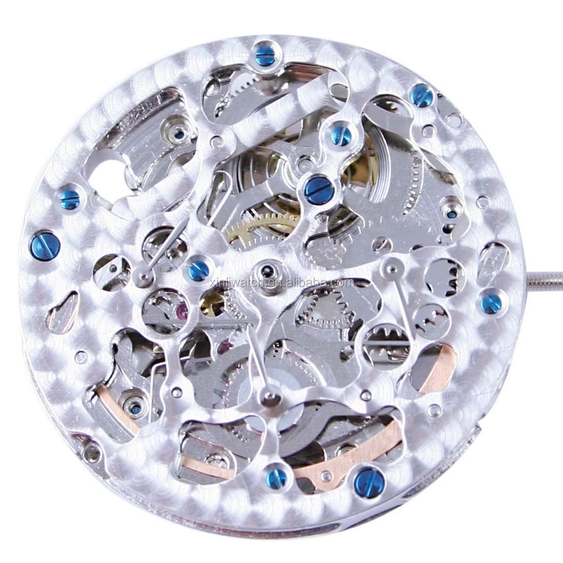 Skeleton Automatic Movement 2196, Mechanical Movement from China
