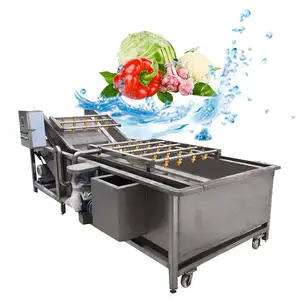 Mesin pembersih biji tomat labu krayfish sayuran komersial mesin pembersih delima mesin cuci cabai gelembung udara