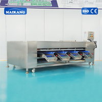 Turnkey oplossing automatische industriële sla-wasmachine met luchtdroging en groenteverwerkingslijn voor diverse groenten