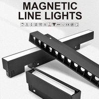 Système d'éclairage sur rail magnétique 20 mm, gradation DALI, 3 températures de couleur réglables, COB 48V, éclairage LED modulaire pour usage commercial, résidentiel et maison intelligente