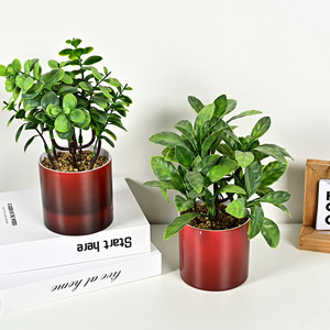 Vente chaude transfrontalière <span class=keywords><strong>2023</strong></span>, plante artificielle, verdure, décoration intérieure et extérieure, eucalyptus en pot en plastique imprimé en <span class=keywords><strong>3D</strong></span>, petites plantes - Product Image 2