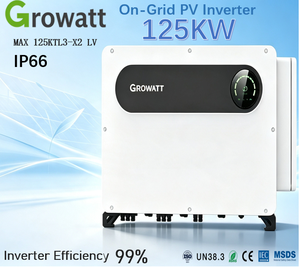 Convertisseur solaire IP66 <span class=keywords><strong>C5</strong></span> anti-corrosion 125 kW Growatt MAX, efficacité de 99 %, triphasé, CE IEC - Product Image 1