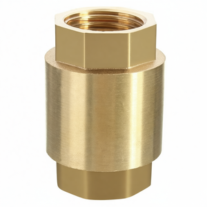 Venta de Liquidación COVNA B2B, Válvula de Retención de Latón de 1/2 Pulgada, 200 WOG, Rosca Hembra BSPP, Tipo de Elevación Vertical con Resorte, en Línea, Anti-Retorno - Product Image 4