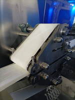 Ligne de production de lingettes humides antibactériennes réglables de qualité médicale