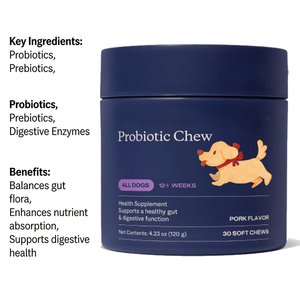 อาหารเสริมสำหรับสุนัข OEM พรีไบโอติกส์ โปรไบโอติกส์ ชนิดเคี้ยว ช่วยเสริมภูมิคุ้มกัน บำรุงสุขภาพลำไส้ เอนไซม์ย่อยอาหาร บรรเทาอาการแพ้ อาการคัน ขนมขบเคี้ยวสำหรับสัตว์เลี้ยง - Product Image 4