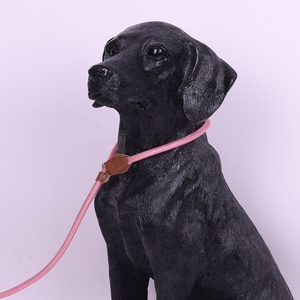 Laisse de corde de glissement de chien extrêmement durable et confortable robuste laisse de plomb de corde de qualité supérieure pour chien - Product Image 2