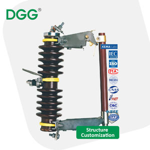 Dgg מתח גבוה/hv חיצוני <span class=keywords><strong>11kv</strong></span> ירידה החוצה קו הפצה גירוש קו ההגנה שנאי-לשעבר הגנה על פולימר - Product Image 4