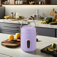 Cuisinière électrique en céramique portable multifonctionnelle 900ml Mini marmite avec couvercle Tasse à ragoût électrique Smart Dormitory