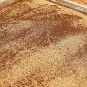 100% malworms מיובשות טבעי לעופות בר לקדם צמיחה בריאה - Product Image 4