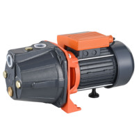 Pompe à eau domestique JET Booster haute pression auto-amorçante avec turbine en laiton et bobine 100% cuivre pour le traitement de l'eau potable (OEM)