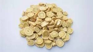 Cinese Tradizionale Erbe Leguminose Huangqi Milkvetch <span class=keywords><strong>Radice</strong></span> - Product Image 5