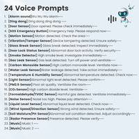 Émetteur-récepteur audio WiFi Smatrul Tuya BJQ-001 Prise EU/US/UK Contrôle via l'application Smart Life Alerte sonore et lumineuse Détecteur de gaz et de fumée