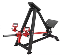 Machine à Rameur T-Bar à Charge Libre Personnalisable en Couleur pour Usage Commercial |   Équipement professionnel pour l'entraînement du dos