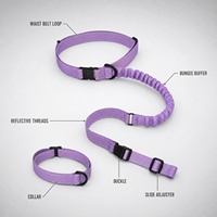 Laisse pour chien mains libres avec ceinture réfléchissante, amortisseur de chocs, pour la marche en extérieur, fournisseur en gros OEM ODM