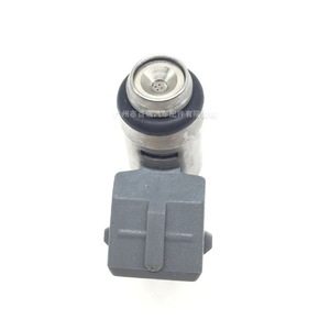 Inyector de Combustible Iwp179 para Vehículos Fiat y Renault, Material de Acero, Conector de 2 Pines - Product Image 2