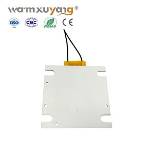 12V 24V Premium équipement de chauffage en Fiber de carbone résistance en céramique Ptc élément chauffant chauffage électrique élément PTC - Product Image 2