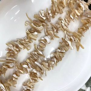 Perlas <span class=keywords><strong>de</strong></span> Concha <span class=keywords><strong>de</strong></span> Nácar Natural al por Mayor, Chips Irregulares, Perlas Sueltas para Hacer Pulseras, Collares y Joyería - Product Image 2