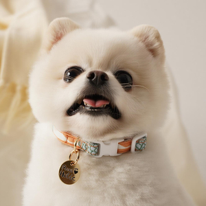 Collar de perro bonito clásico moderno y elegante de algodón de lujo lavable suave y cómodo con luces LED de diseño de árbol de níspero personalizado - Product Image 5