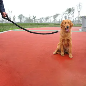 Laisse en nylon tressée <span class=keywords><strong>pour</strong></span> grand <span class=keywords><strong>chien</strong></span> Corde épaisse <span class=keywords><strong>pour</strong></span> bouledogue Rottweiler <span class=keywords><strong>Chien</strong></span> Chiens Accessoires de marche <span class=keywords><strong>pour</strong></span> animaux de compagnie Lanières Produit - Product Image 2