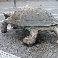 Sculpture de tortue en bronze moderne sur mesure MALTON, procédé de moulage à la cire perdue numérique, finition polie - Objet de collection artistique