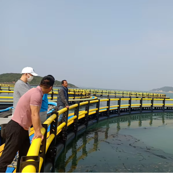 China Manufacturer s Best Selling HDPE