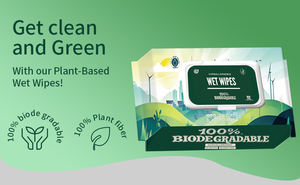 Atacado Custom Wet <span class=keywords><strong>Wipes</strong></span> 80pcs 99.9% Água Pura Sem Álcool Biodegradável Wet Cleaning <span class=keywords><strong>Wipes</strong></span> - Product Image 4