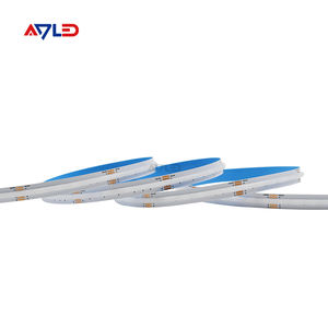 Bande LED COB RGB ODM/OEM 24V 576 LED Haute Luminosité 10mm Flexible Télécommande / Wi-Fi / USB Dimmable IP20 CE - Product Image 1