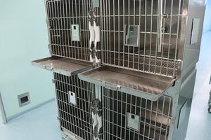 <span class=keywords><strong>Jaula</strong></span> transportadora doble de acero inoxidable clásica para interiores/exteriores para gatos y perros y uso veterinario - Product Image 3