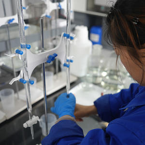 Flocons de diacétate de cellulose RUIYANG (CAS 9035-69-2) Pureté 95% Poudre blanche Matière première pour usage industriel Tabac - Product Image 5