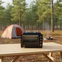 Four à gaz compact portable multifonctionnel avec grill pour voiture et usage extérieur GPL grande capacité