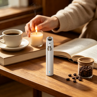 Briquet Électrique Rechargeable Coupe-Vent Mince Portable avec Logo Personnalisé Mini Briquet Jetable pour Fumeurs