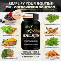 Fabricant de capsules de Shilajit en marque blanche – 17 ans d'expérience OEM/ODM, formule personnalisée, logo, vente en gros, complément alimentaire