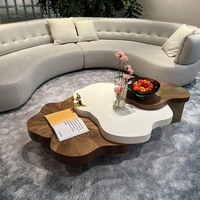 OKF Unique Nuage Bois Empilable Table Basse En Acier Inoxydable En Alliage De Titane Pieds Nouveaux Meubles De Salon De Conception Multicouche