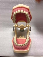 Modèle de pratique dentaire NISSIN Kilgore Frasaco Fit 28 32 dents en résine pour la Colombie